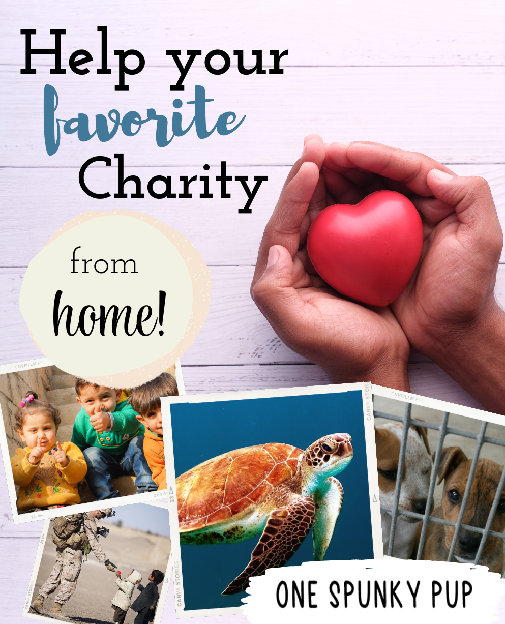 Easy ways to help out your favorite cause from home. Start doing good today (it's easier than you think!) 