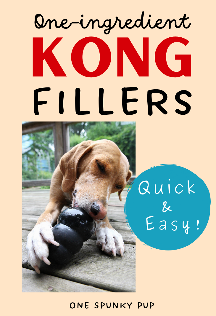 Quick and easy - One-ingredient Kong fillers your dog will love!