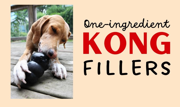 Quick and easy - One-ingredient Kong fillers your dog will love!